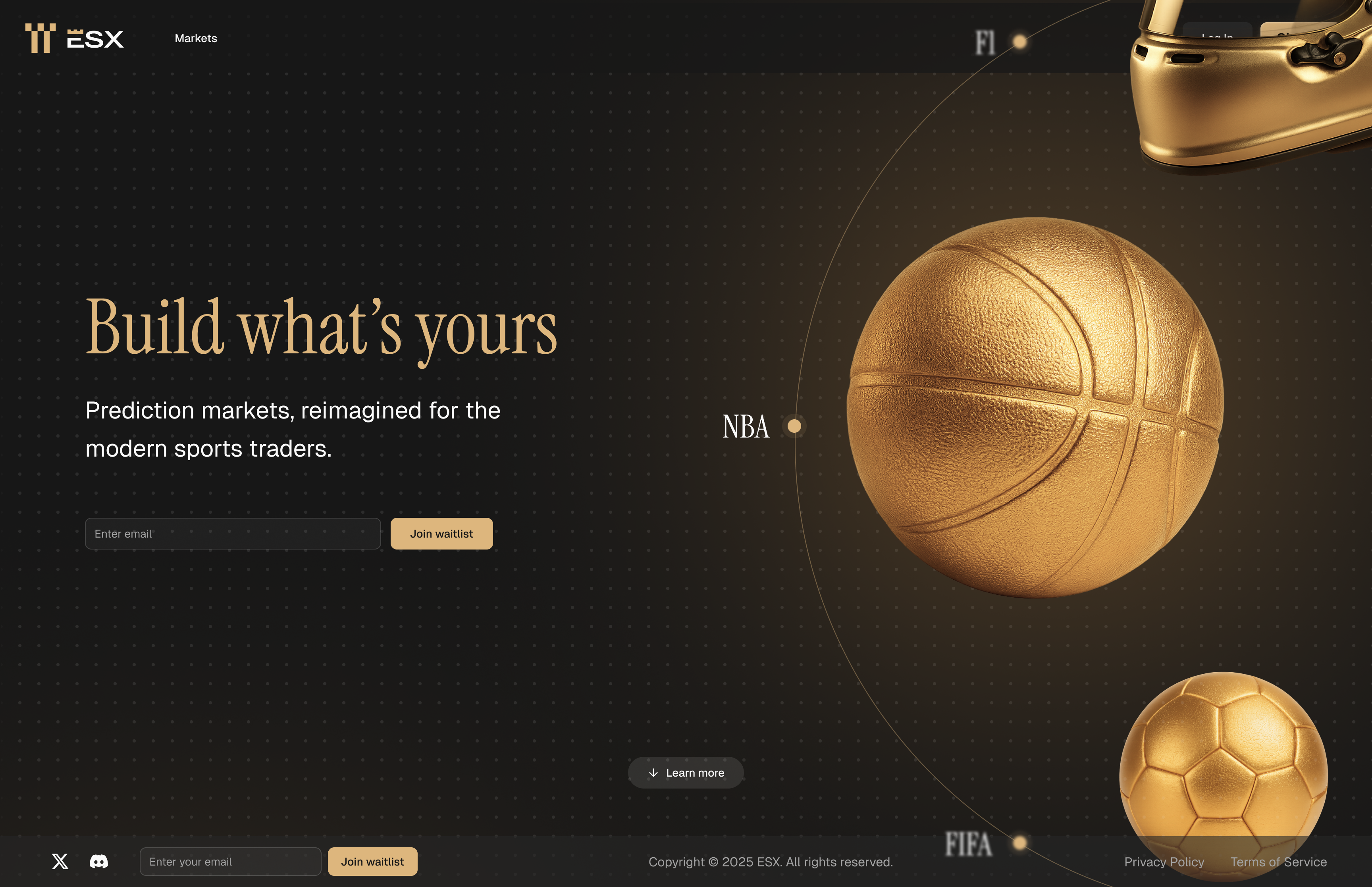 ESX Website — design