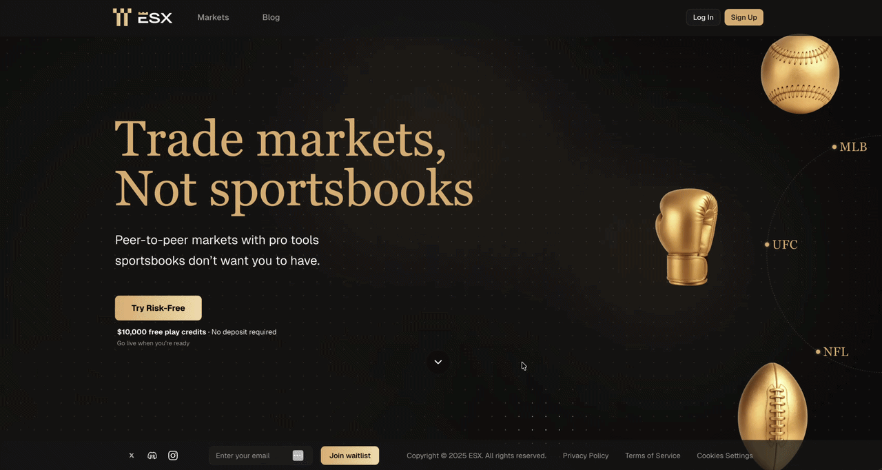 ESX Website — design